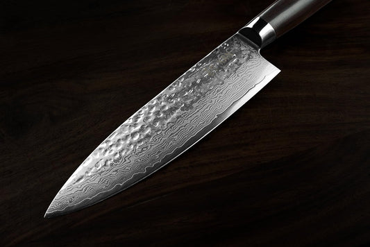 Core Professional Chef Knife 8-Inch VG-10 67 Layers Damascus Ambidextrous (Hammered Japanese VG-10 Blade, G10 Handle-Upgraded Version)